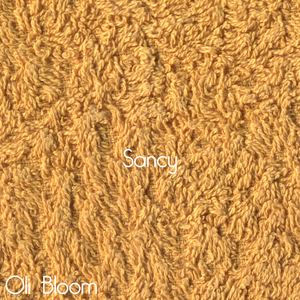 大妈俱乐部小说
